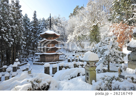 陽光浴びる雪の八角三重塔/国宝安楽寺 26216749