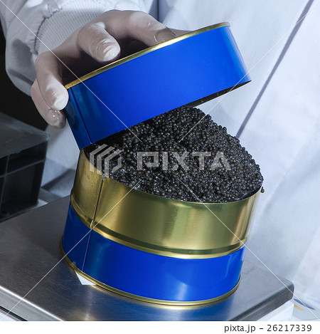 Worker filling tins with caviar in fish factory Worker filling tins with caviar in fish factory 26217339