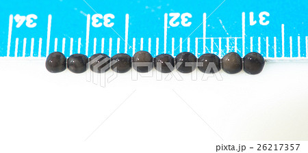 Caviar processing plant, measuring the quality of 26217357