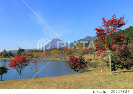 志高湖キャンプ場 26217387