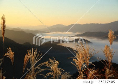 秋の絶景コラボ 26217405