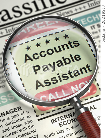 Accounts Payable Assistant Job Vacancy. 3D. 26219557