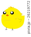 ひよこ 26219772