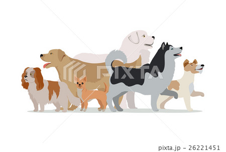 Collection of Different Dogs Isolated on White 26221451