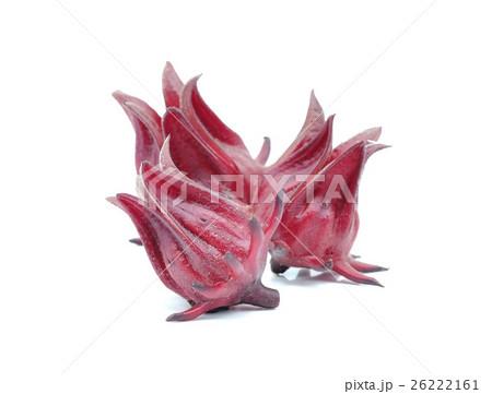 Fresh roselle fruits on white background. Fresh roselle fruits on white background. 26222161