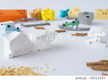 地震　自然災害　無電柱化　倒壊　被害 26222285