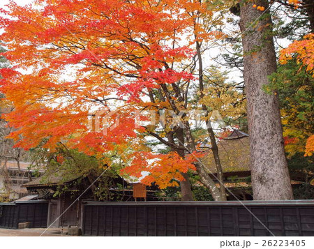 角館の紅葉(小田野家) 角館の紅葉(小田野家) 26223405