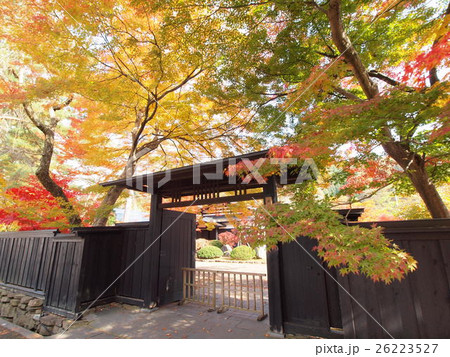 角館の紅葉 角館の紅葉 26223527