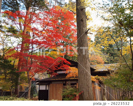 角館の紅葉(小田野家) 角館の紅葉(小田野家) 26223532