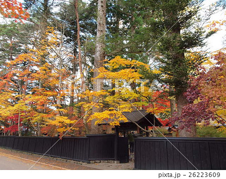 角館の紅葉(小田野家) 角館の紅葉(小田野家) 26223609