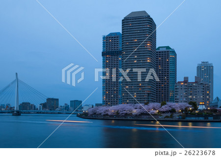 桜並木とウォータフロント　佃 26223678