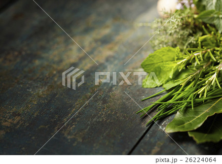 Italian herbs Italian herbs 26224064