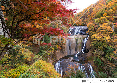 袋田の滝の紅葉の写真素材