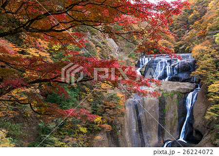 袋田の滝の紅葉 26224072
