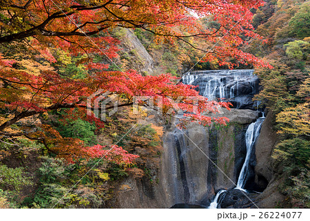 袋田の滝の紅葉の写真素材