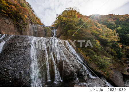 袋田の滝の紅葉 26224089