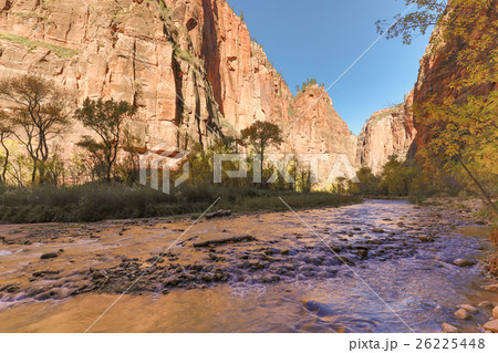 Autumn in Zion national Park Utah Autumn in Zion national Park Utah 26225448