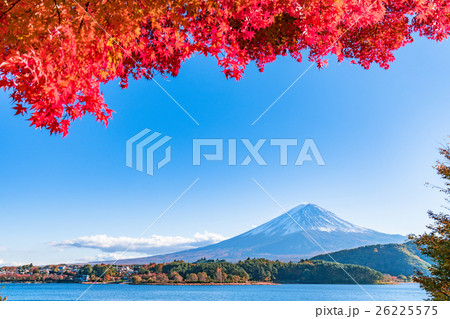 紅葉・富士山 26225575