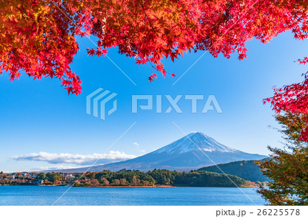 紅葉・富士山 26225578