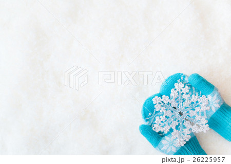 Christmas Xmas Winter Holiday Concept Christmas Xmas Winter Holiday Concept 26225957