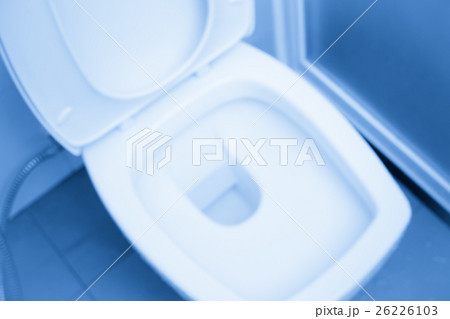 Flush Toilet or Water Closet in Clean Toilet 26226103