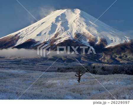 梨ケ原雨氷の朝 26229397