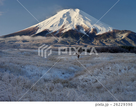 梨ケ原雨氷の朝 梨ケ原雨氷の朝 26229398
