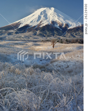 梨ケ原雨氷の朝 26229400