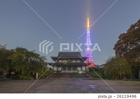 女性に対する暴力をなくす運動「パープルライトアップ」の東京タワーと増上寺(HDR)_a 26229496
