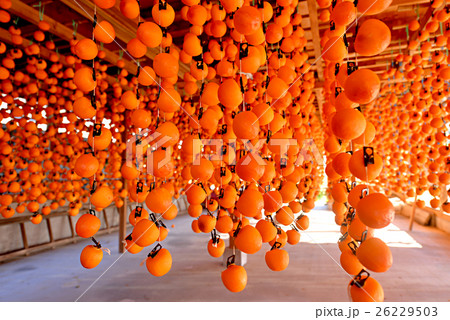 干し柿(長野県飯田市) 26229503