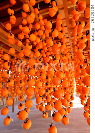 干し柿(長野県飯田市) 干し柿(長野県飯田市) 26229504