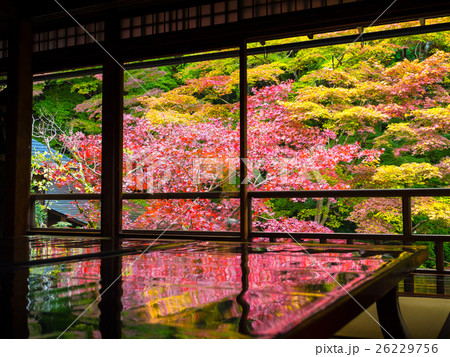 錦秋の瑠璃光院 錦秋の瑠璃光院 26229756