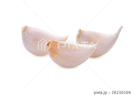Garlic isolated on white background 26230109