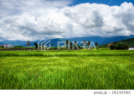 青空 青い空 ブルースカイ 26230560
