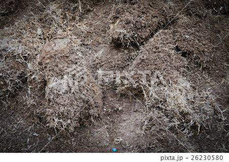 yard work, preparation soil in garden 26230580