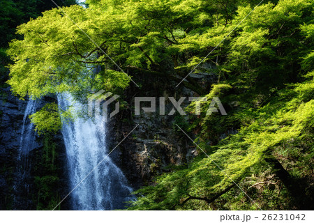 滝 瀧 瀑布 26231042