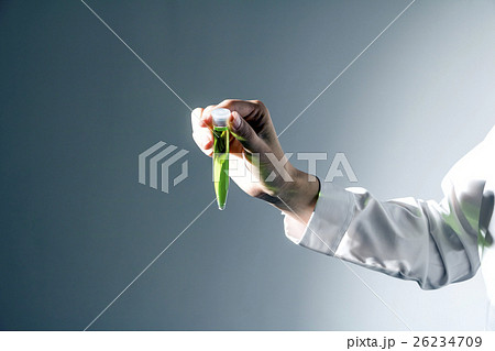 試験管を持つ女性の手 試験管を持つ女性の手 26234709