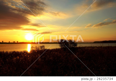 印旛沼の夕日 26235734