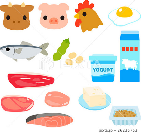 タンパク質を多く含む食品のイラストセットのイラスト素材