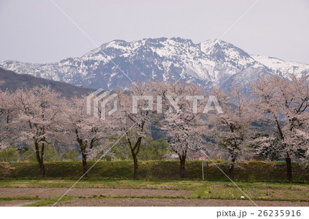 春の八海山 春の八海山 26235916