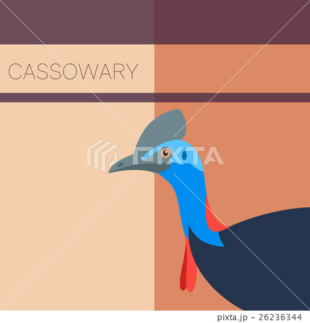 Cassowary Flat Postcard Cassowary Flat Postcard 26236344