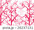 バレンタイン　カカオの木 26237131
