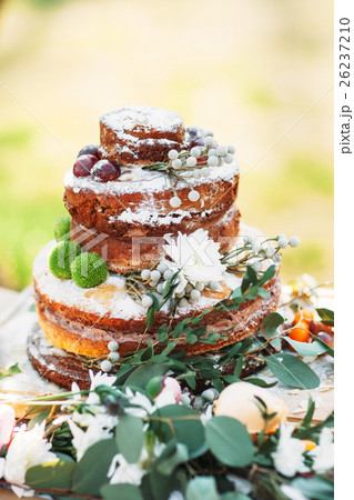 Appetizing wedding cake in rustic style Appetizing wedding cake in rustic style 26237210