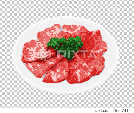 Beef Galbi Meat Stock Illustration