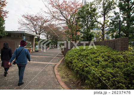 東京農業大学第一高等学校、東京農業大学第一高等学校中等部 東京農業大学第一高等学校、東京農業大学第一高等学校中等部 26237476