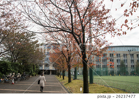 東京農業大学第一高等学校、東京農業大学第一高等学校中等部 26237477