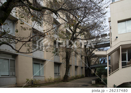 東京農業大学第一高等学校、東京農業大学第一高等学校中等部 東京農業大学第一高等学校、東京農業大学第一高等学校中等部 26237480