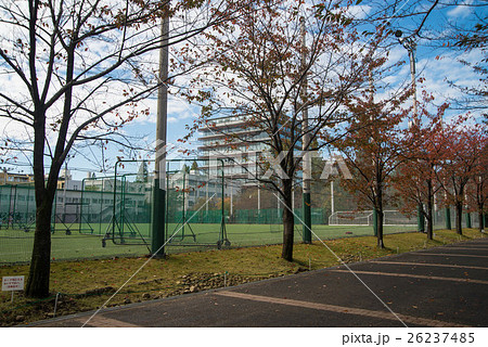 東京農業大学第一高等学校、東京農業大学第一高等学校中等部 東京農業大学第一高等学校、東京農業大学第一高等学校中等部 26237485