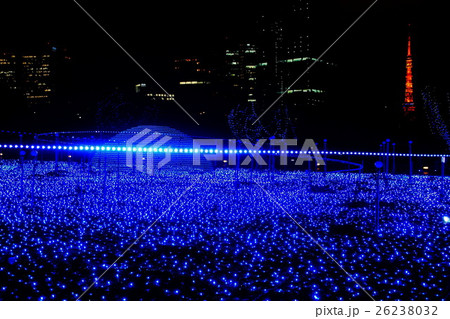 六本木　東京ミッドタウン　スターライト・ガーデン　クリスマス・イルミネーション　2015年 26238032