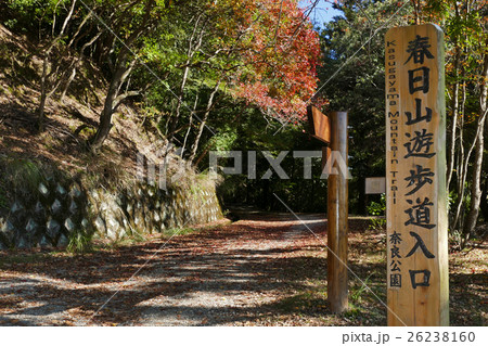 春日山遊歩道入口 春日山遊歩道入口 26238160